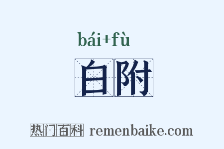 白附是什么意思的图片
